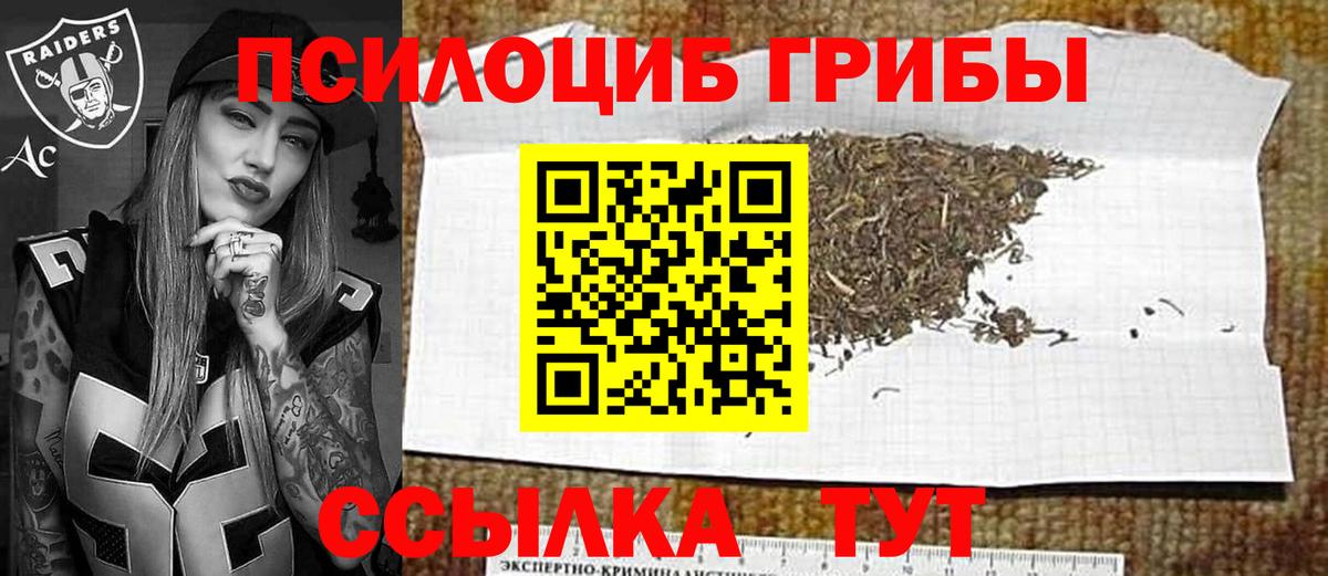 Галлюциногенные грибы прущие грибы Старая Купавна