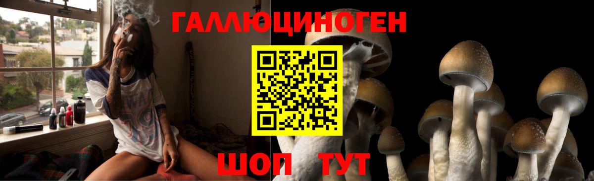 Старая Купавна  Галлюциногенные грибы мицелий  Вход с VPN 